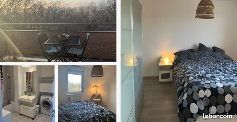 Appartement à louer, 44m², Saint-Julien-lès-Metz