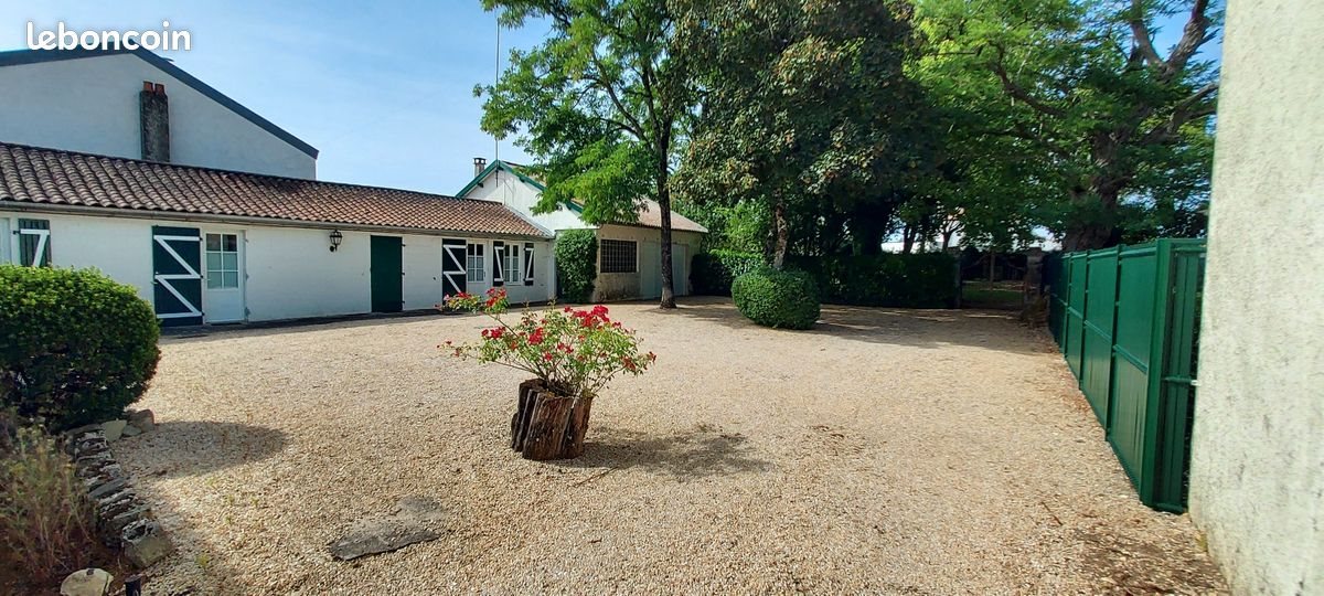 Appartement à louer, 19m², Luçon