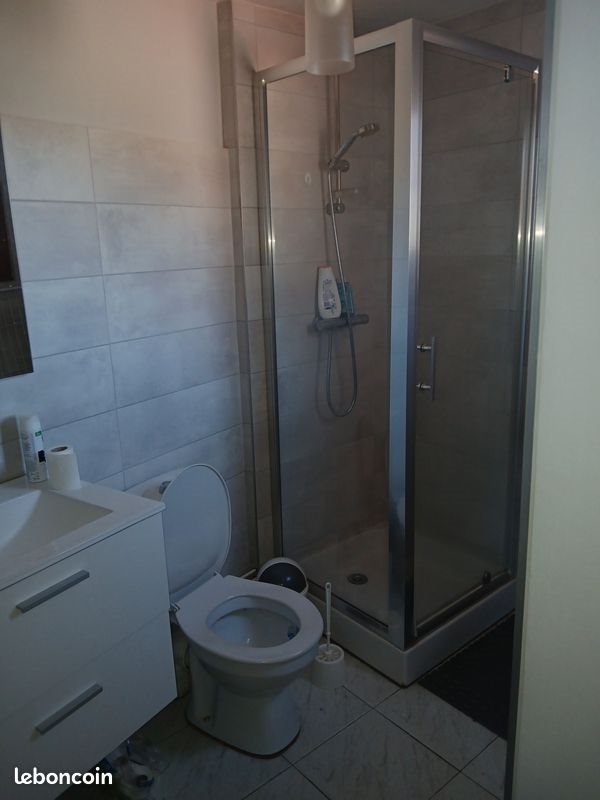 Appartement à louer, 28m², Roanne