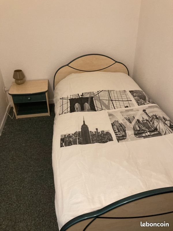 Appartement à louer, 23m², Nancy