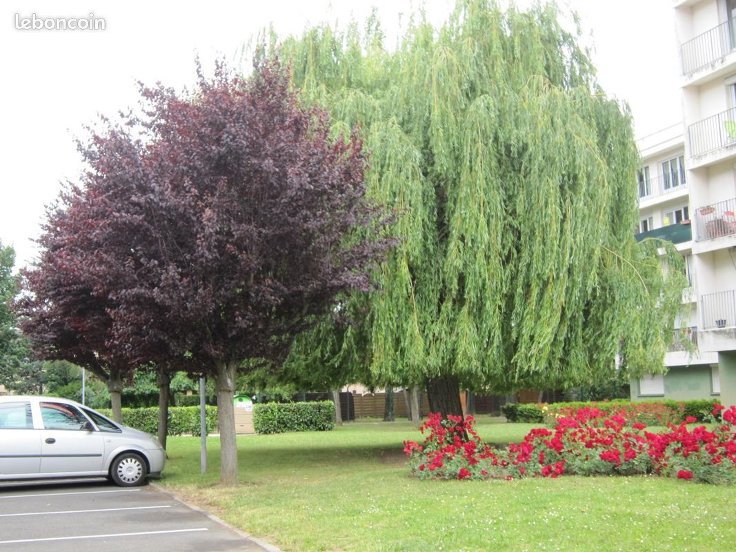 Appartement à louer, 40m², Orléans
