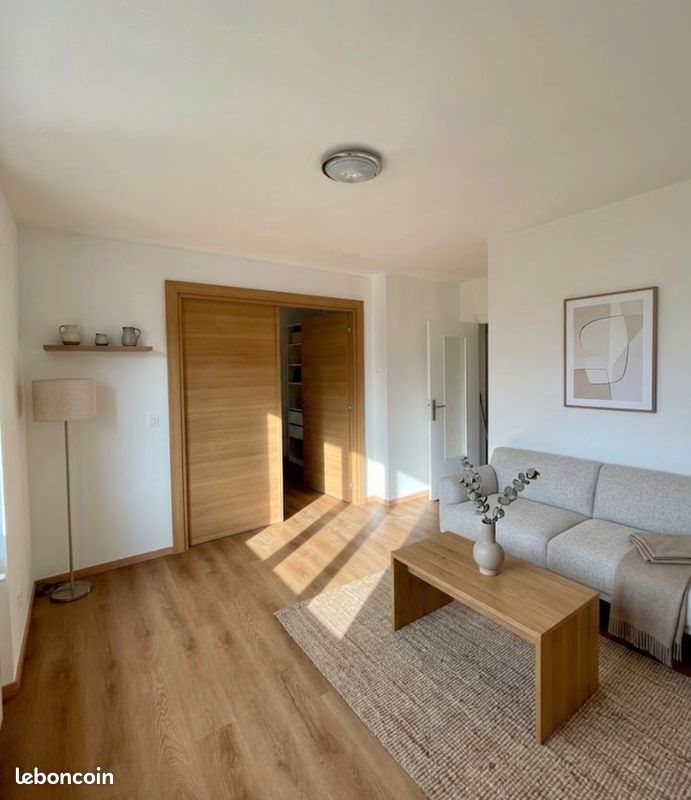 Appartement à louer, 45m², Roanne