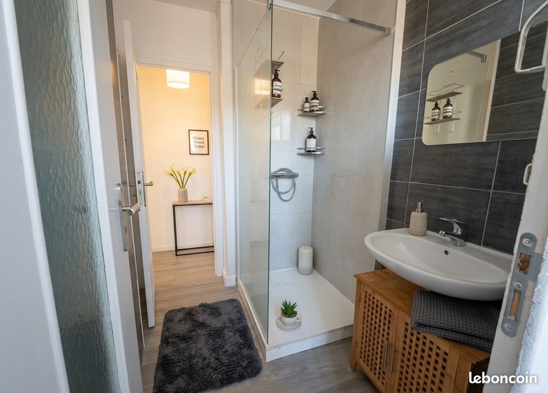 Appartement à louer, 45m², Roanne