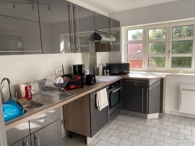 Appartement à louer, 50m², Colmar