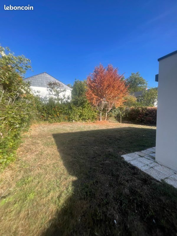Appartement à louer, 25m², Angers