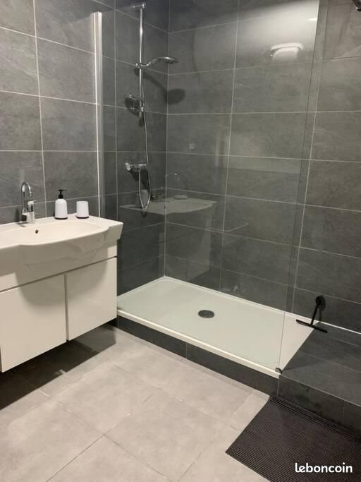 Appartement à louer, 40m², Villeurbanne
