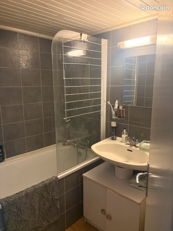 Appartement à louer, 17m², Lille