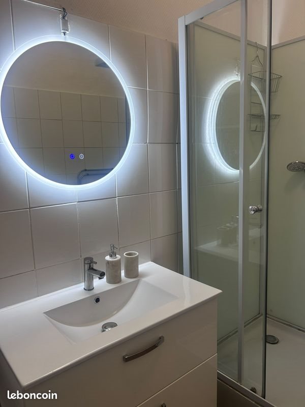 Appartement à louer, 38m², Villeurbanne