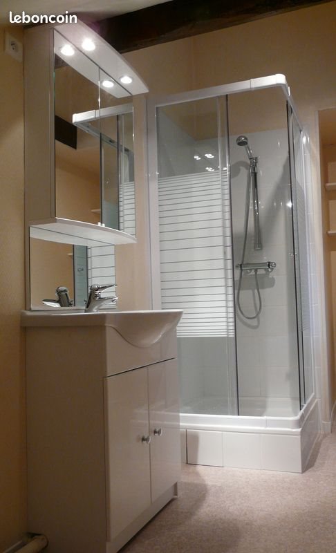 Appartement à louer, 20m², Nancy