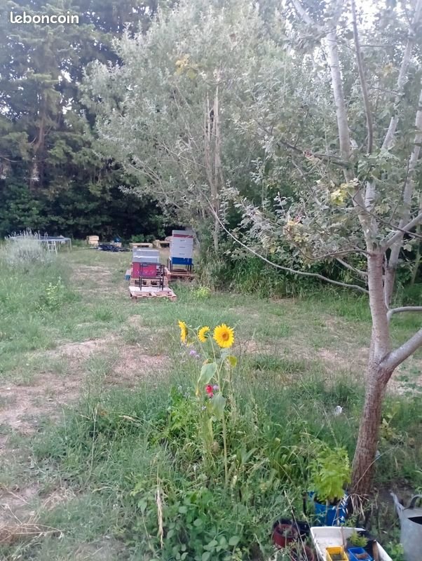 Maison à vendre, 30m², Avignon