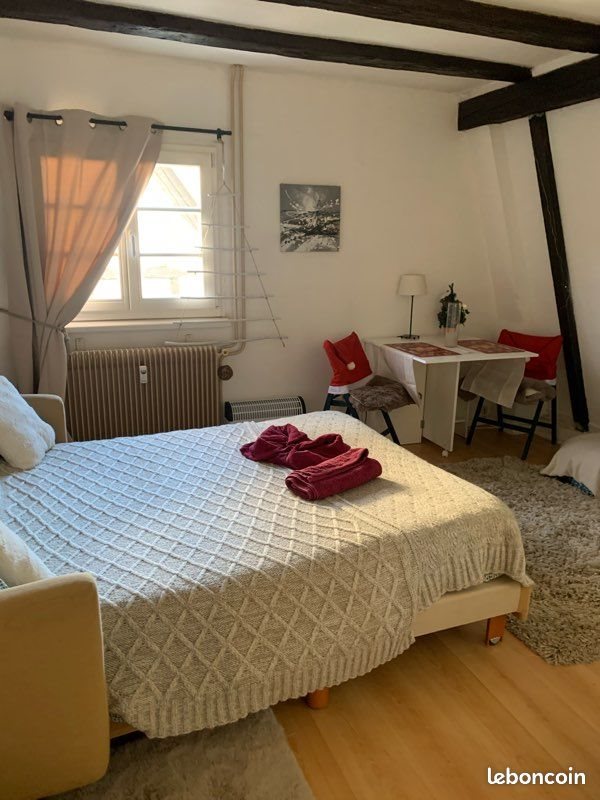 Appartement à louer, 23m², Colmar