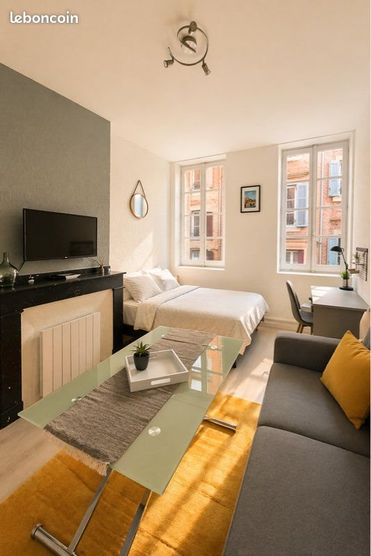 Appartement à louer, 20m², Albi