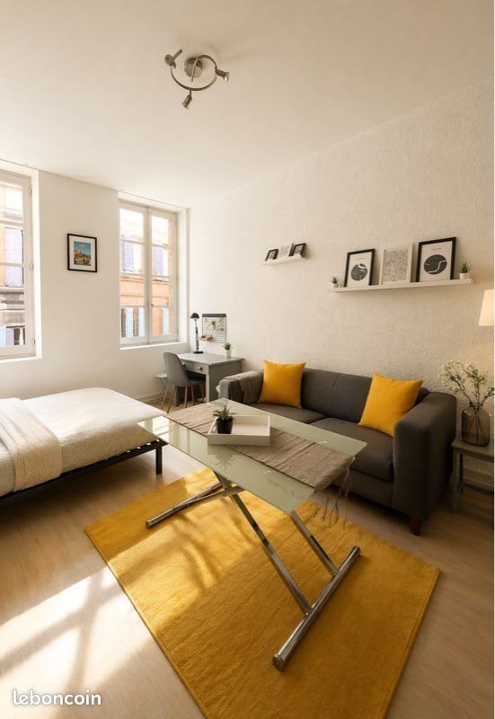 Appartement à louer, 20m², Albi