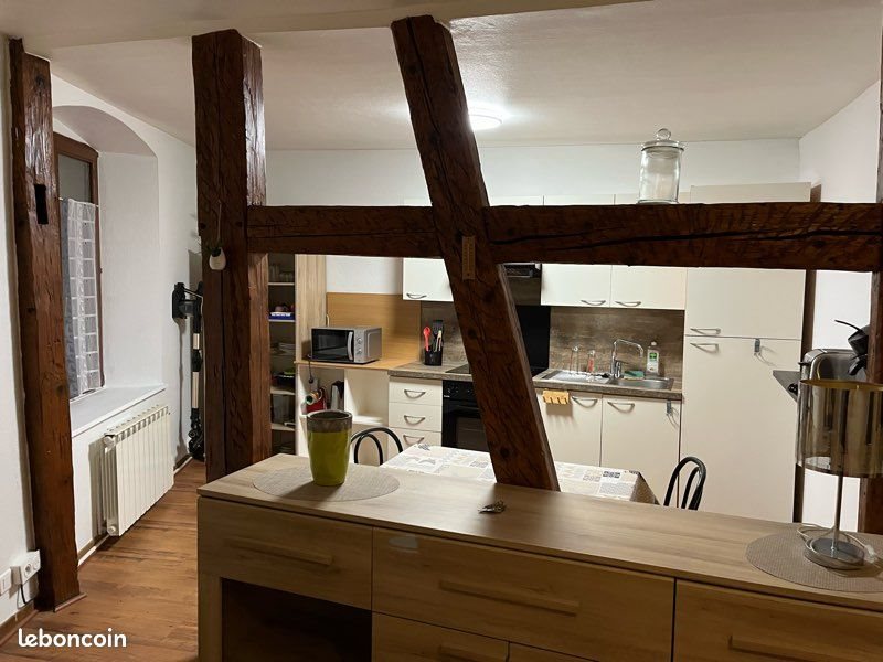 Appartement à louer, 44m², Colmar