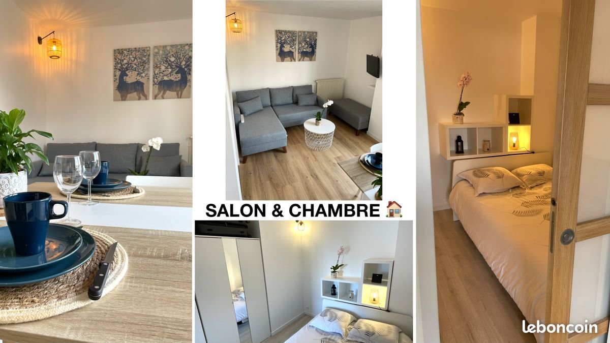 Appartement à louer, 35m², Tours