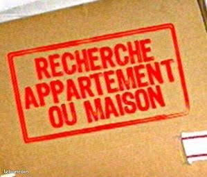 Maison à louer, 45m², Pessac