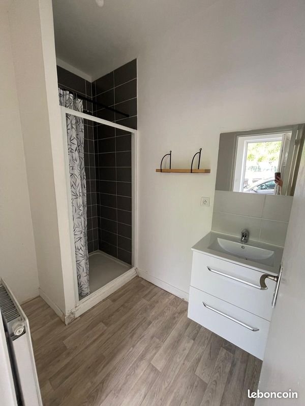 Appartement à louer, 53m², Saint-Étienne