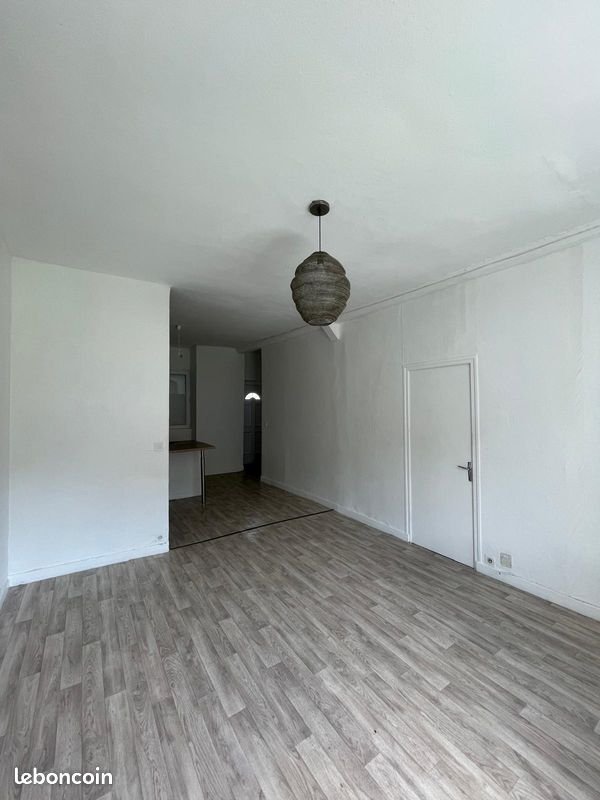 Appartement à louer, 53m², Saint-Étienne