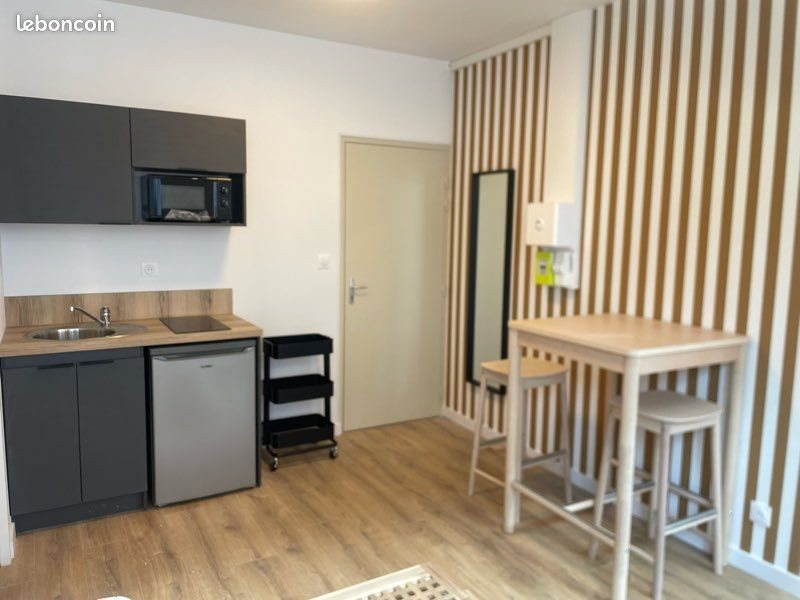 Appartement à louer, 18m², Saint-Étienne