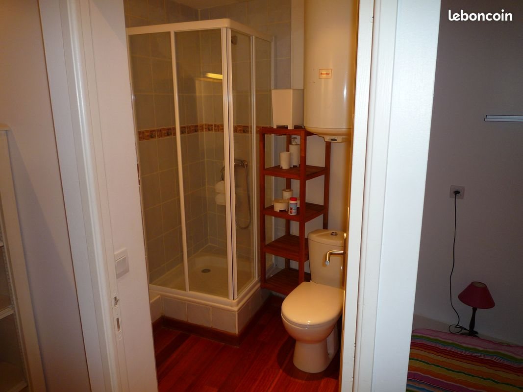 Appartement à louer, 32m², Saint-Étienne