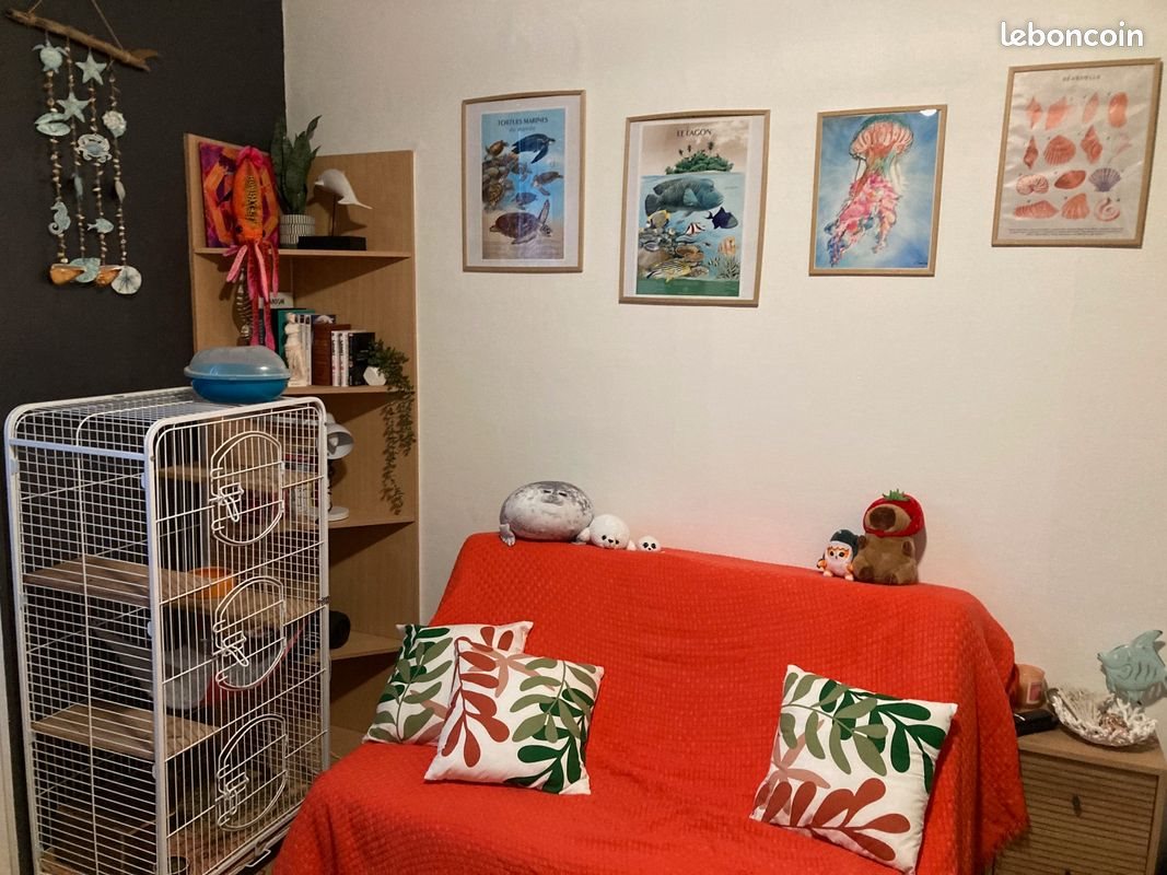 Appartement à louer, 14m², La Chaize-le-Vicomte