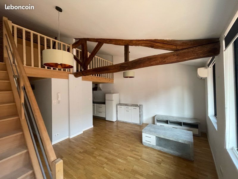 Appartement à louer, 52m², Albi