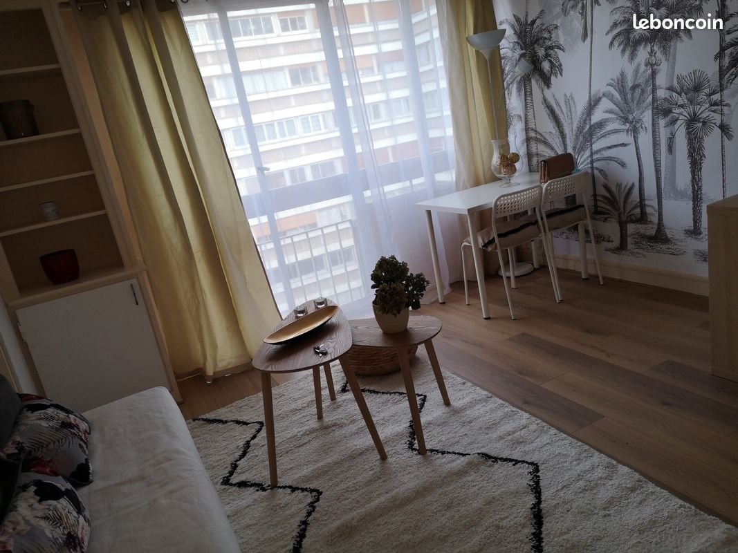 Appartement à vendre, 22m², Paris 15ème
