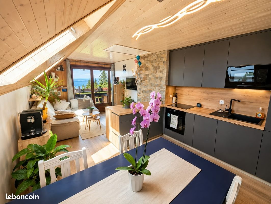Appartement à vendre, 50m², Thollon-les-Mémises