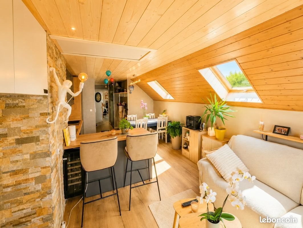 Appartement à vendre, 50m², Thollon-les-Mémises