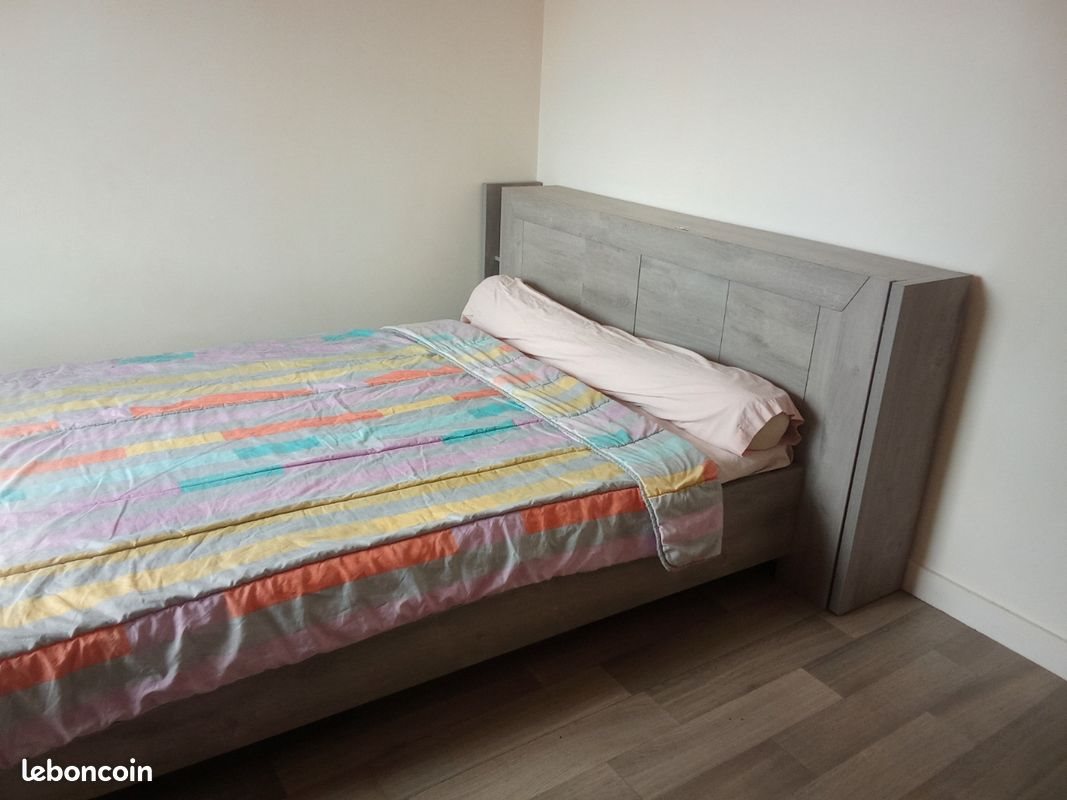 Maison à louer, 553m², Saint-Etienne-de-Montluc