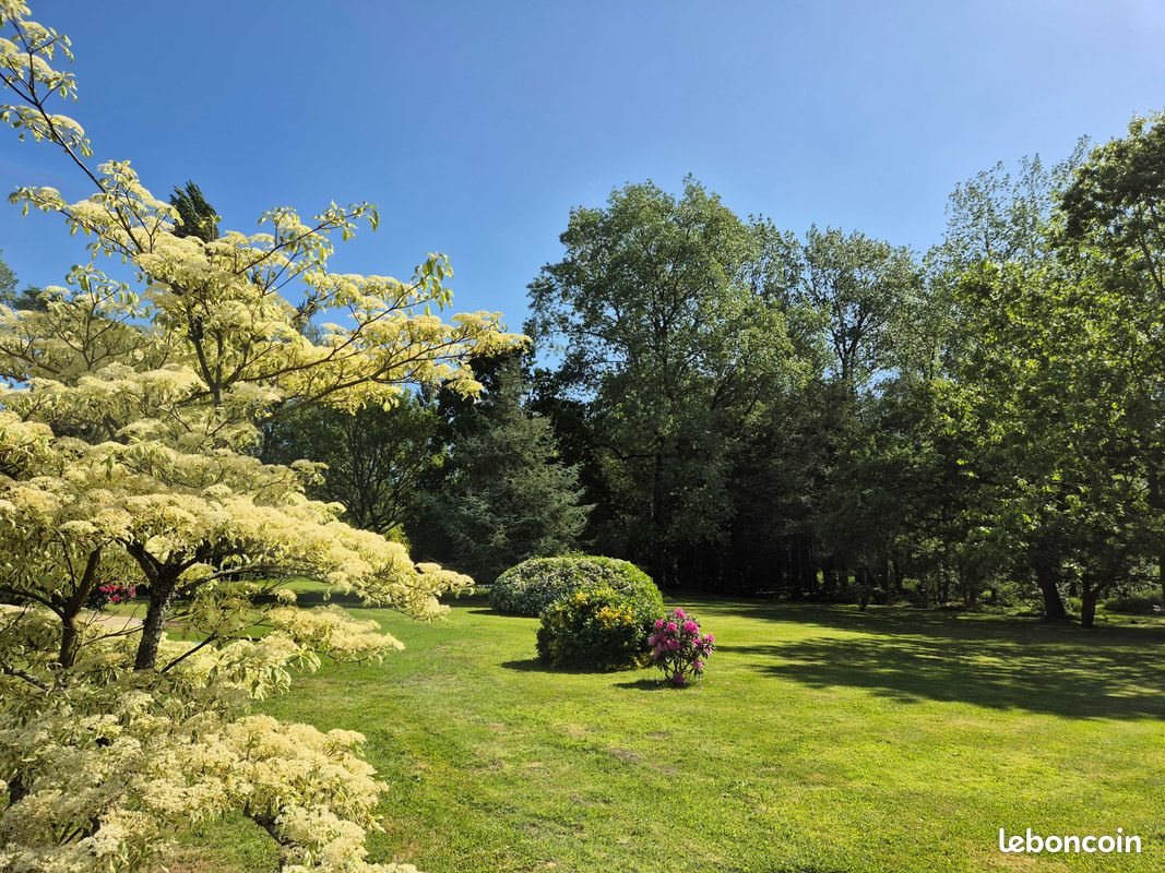 Maison à vendre, 243m², Landivisiau
