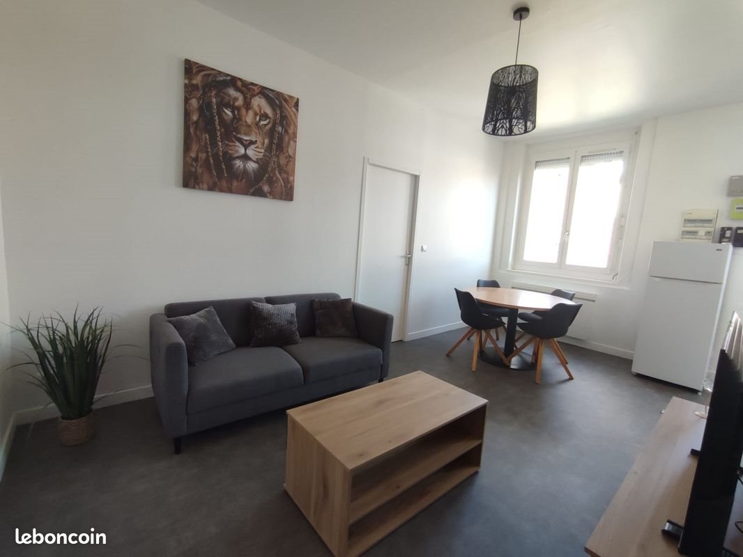 Appartement à louer, 42m², Saint-Etienne