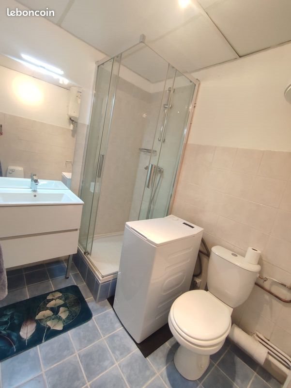 Appartement à louer, 42m², Saint-Etienne