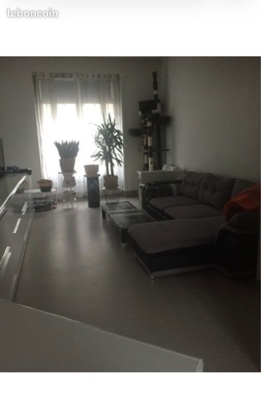Appartement à louer, 36m², Lyon 7ème