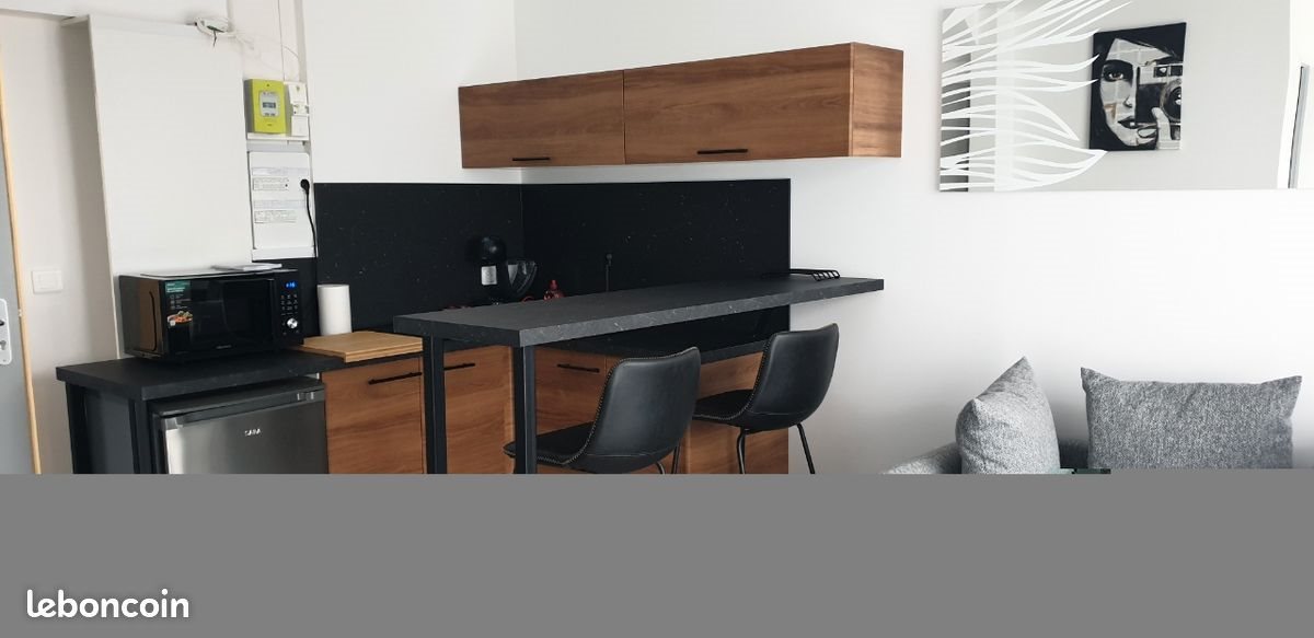 Appartement à louer, 29m², Meyzieu