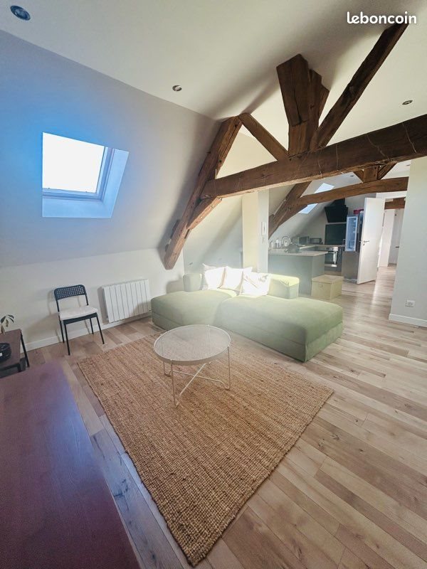 Appartement à louer, 43m², Olivet