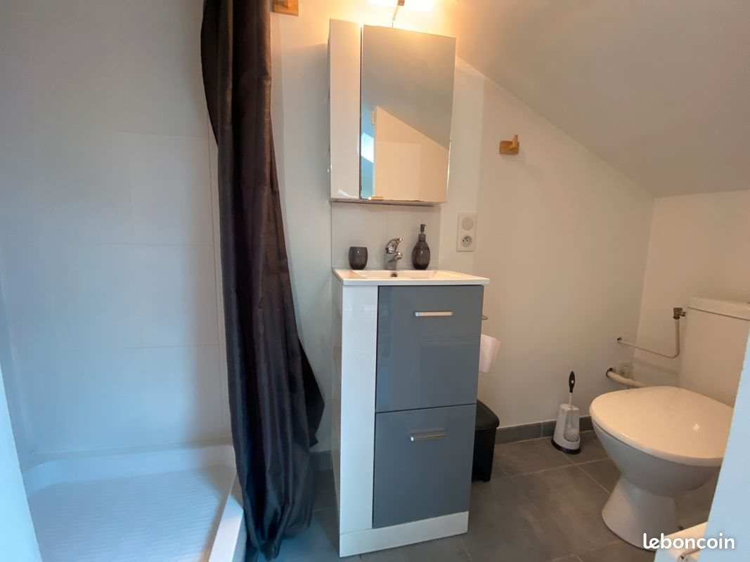Appartement à louer, 15m², Nancy