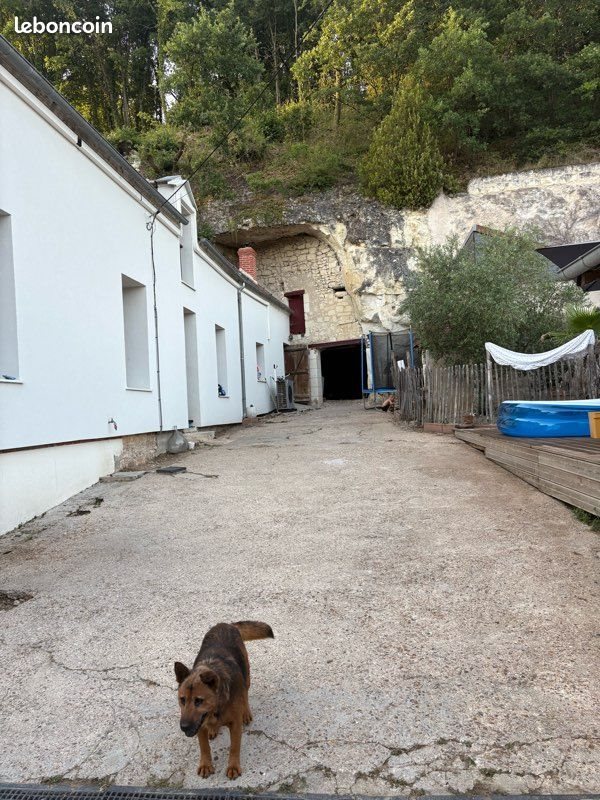 Maison à vendre, 160m², Monthou-sur-Cher