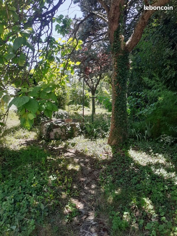Maison à louer, 95m², Saint-Menoux