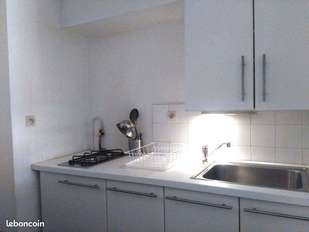 Appartement à louer, 31m², Lyon 1er
