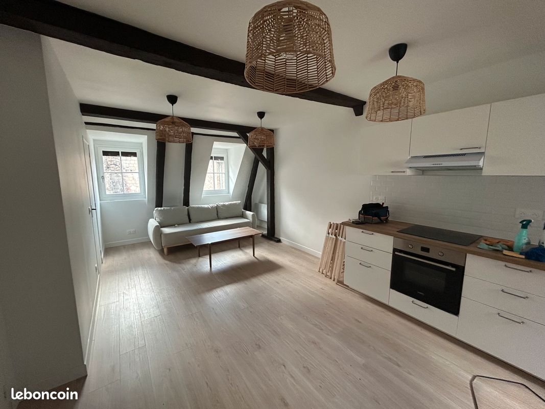 Appartement à louer, 50m², Tours