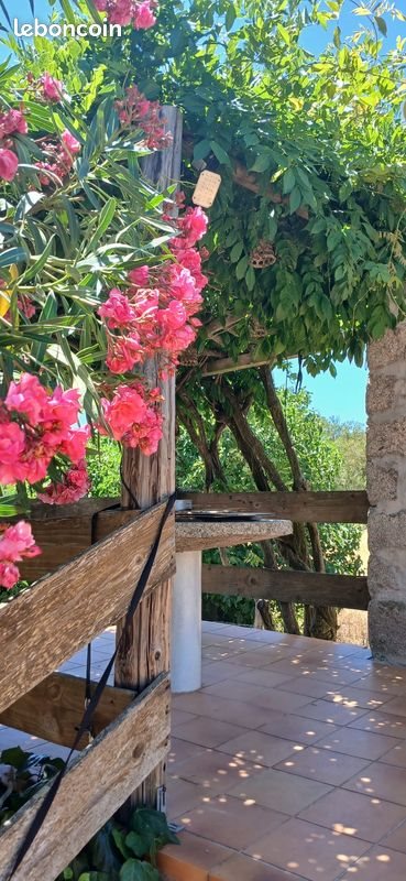 Maison à louer, 25m², Porto-Vecchio