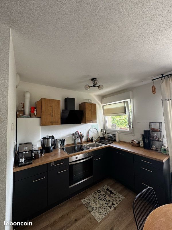 Appartement à louer, 42m², Roeschwoog
