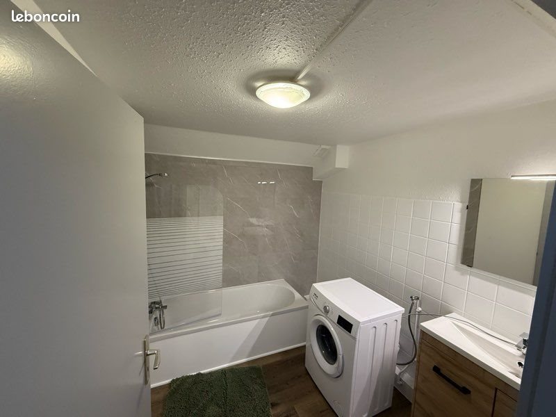 Appartement à louer, 29m², Colmar
