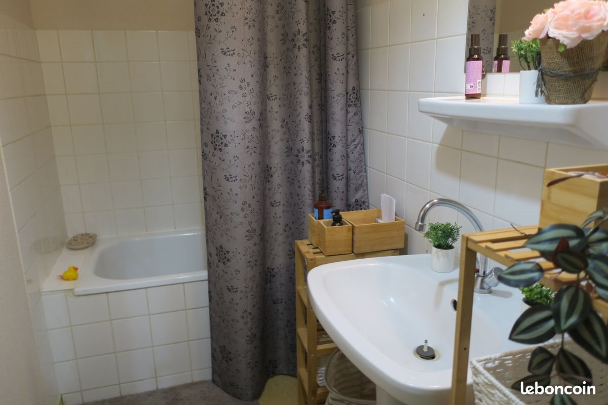 Appartement à louer, 46m², Bourg-Argental