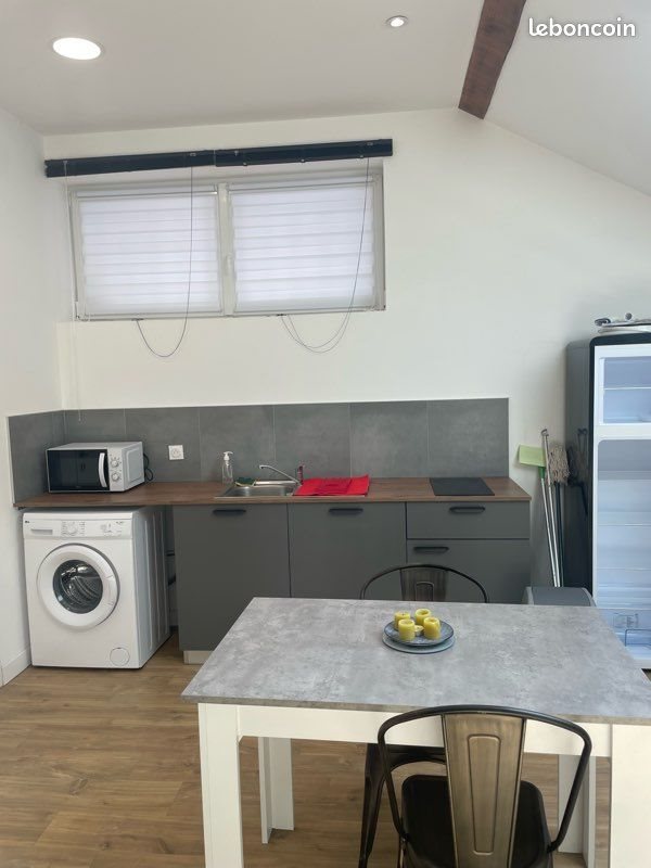 Appartement à louer, 28m², Saint-Etienne