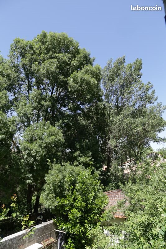 Maison à louer, 75m², Grans