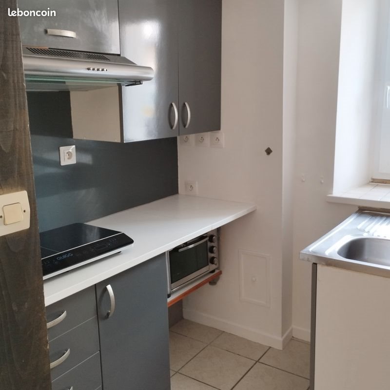 Appartement à louer, 44m², Saône