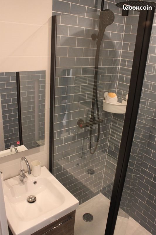 Appartement à louer, 41m², Strasbourg