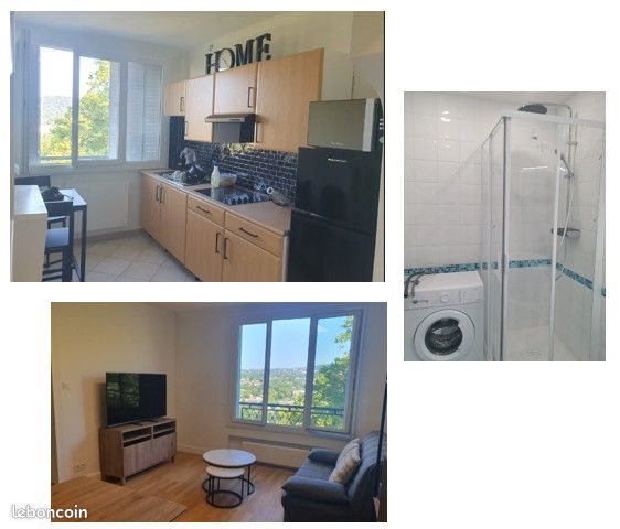 Appartement à louer, 46m², Caluire-et-Cuire